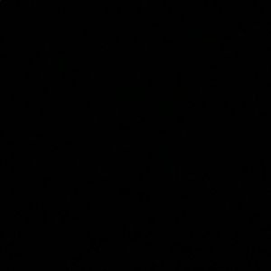 Meet your Posher, Isabelle